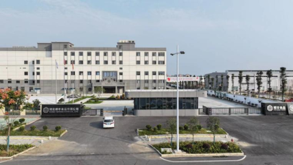 椰基賽道黑馬誕生,卡樂椰是如何煉成的